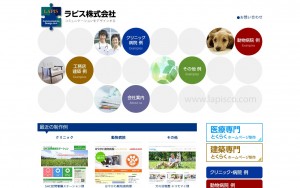 ラピス株式会社