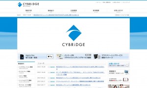 サイブリッジグループ株式会社