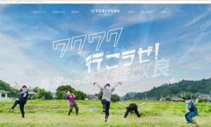 株式会社ヨリヨーク
