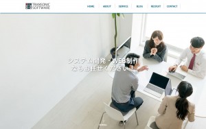 株式会社トランソニックソフトウェア