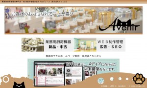 株式会社AVENIR