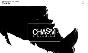 北日本ケアサポート株式会社　web事業部『CHASM』