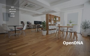 株式会社OpenDNA