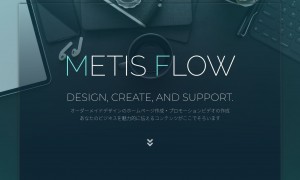 合同会社MetisFlow