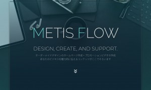 合同会社ＭetisFlow