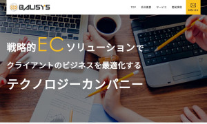 株式会社バリシス