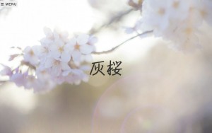 灰桜