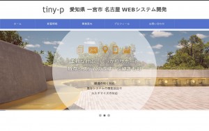 tiny-p