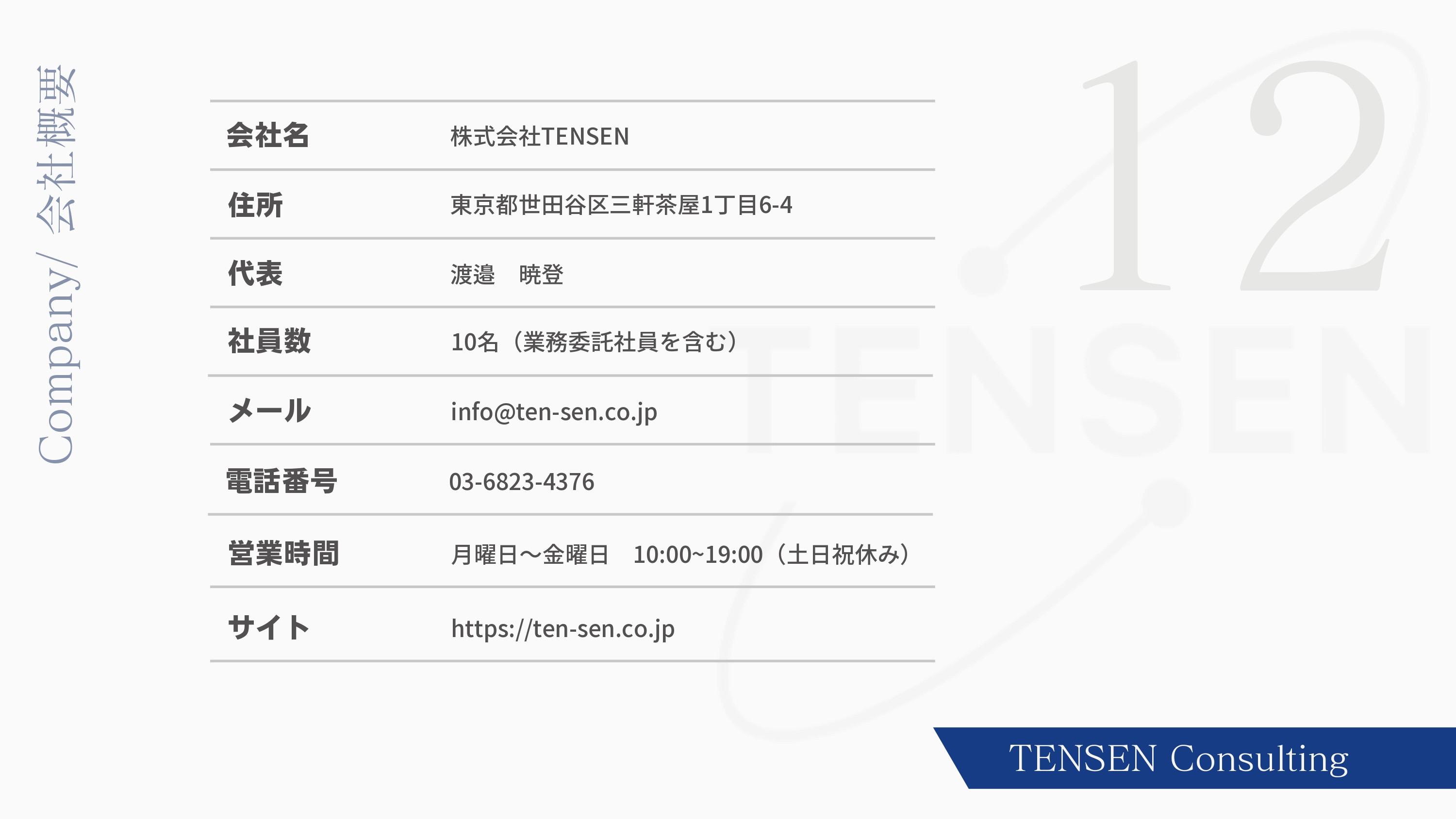 株式会社TENSEN - コンサルティングサービス資料 - {(13 + 1)}ページ目