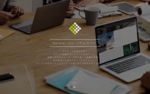 株式会社デルマー