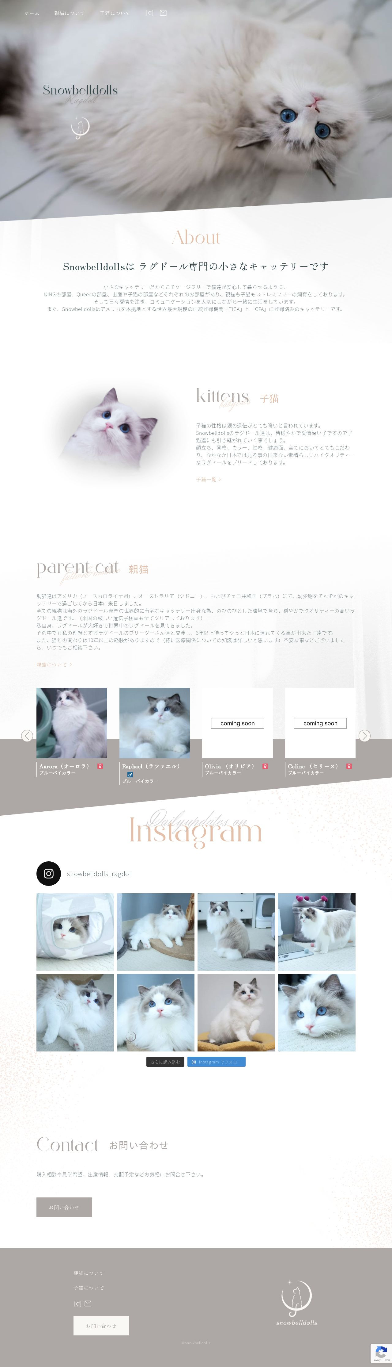 【Snowbelldolls様】キャッテリーのサービスサイト制作のスクショ（PCトップページ）