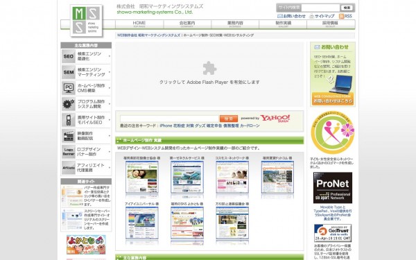 株式会社昭和マーケティングシステムズ