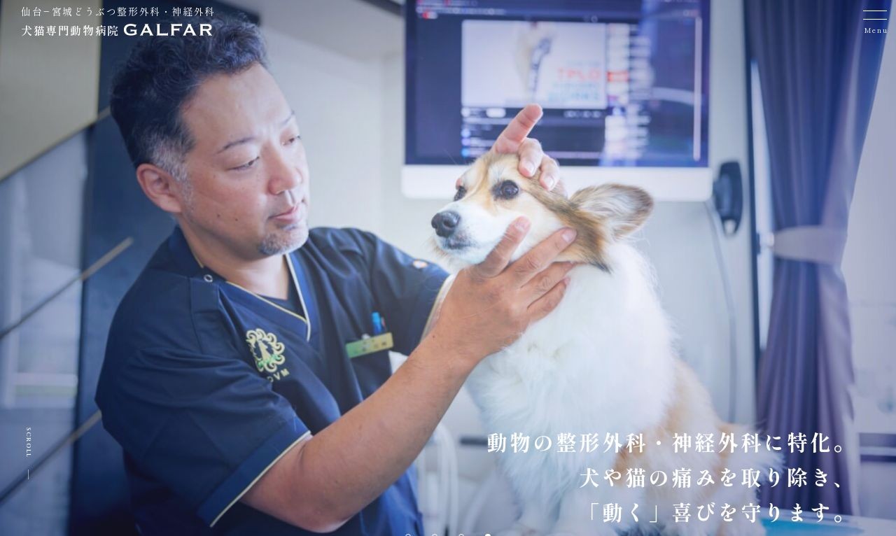 仙台−宮城どうぶつ整形外科・神経外科  DOG＆CAT　HOSPITAL　GALFAR（ガルファー） | Web制作・ホームページ制作実績 | Web幹事