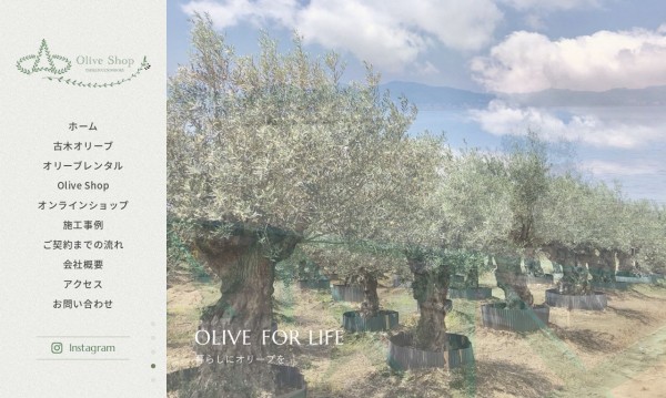 OLIVE SHOP