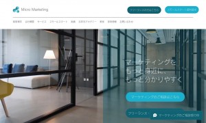 株式会社マイクロ・マーケティング