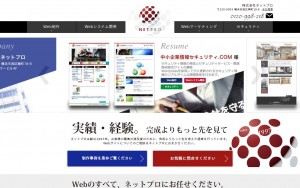 株式会社ネットプロ