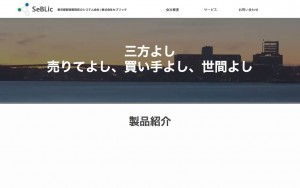 株式会社セブリック