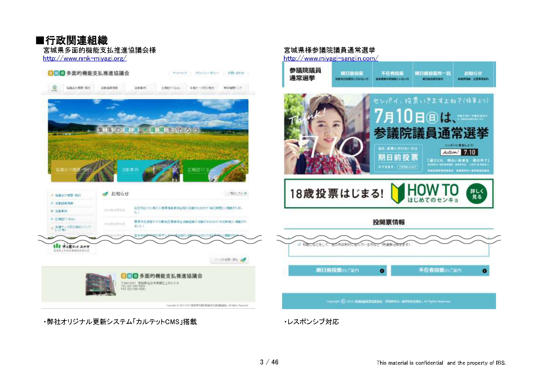 有限会社アイビーソリューション - アイビーソリューション制作実績（抜粋） - {(2 + 1)}ページ目