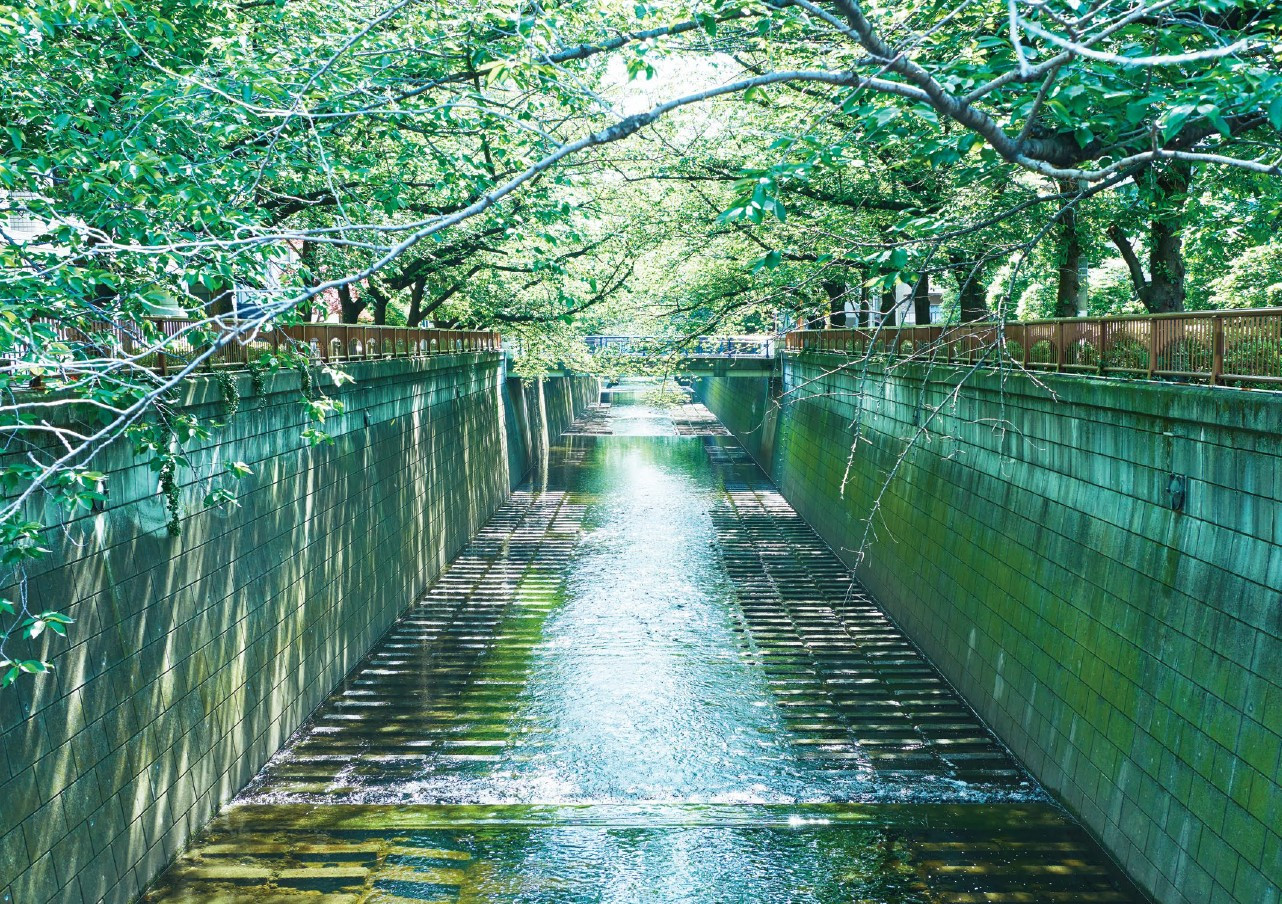 F&S CREATIONS - 会社案内 - {(2 + 1)}ページ目