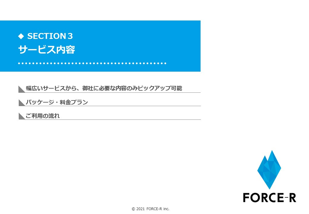 FORCE-R株式会社 - オウンドメディア構築・運用のご案内 - {(16 + 1)}ページ目