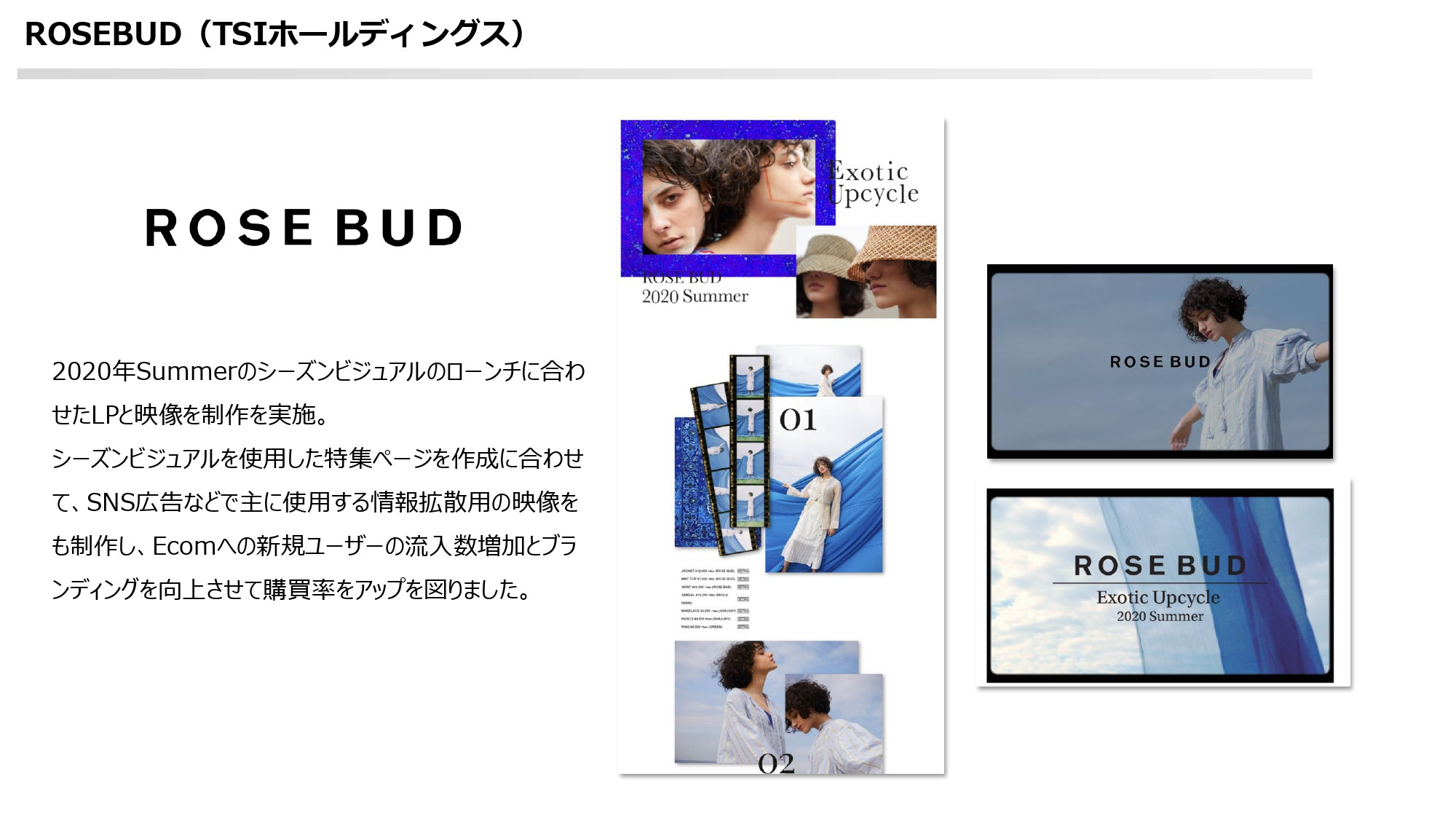 ストレリチアデジタルコンサルティング合同会社 - 制作実績資料 - {(11 + 1)}ページ目