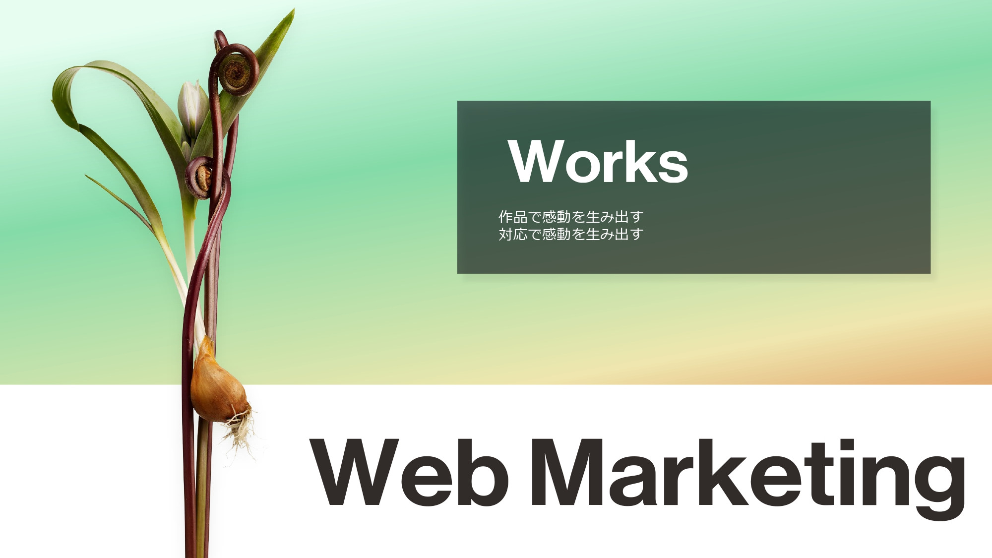 株式会社スパイスワークス - 株式会社スパイスワークス会社紹介 - {(6 + 1)}ページ目