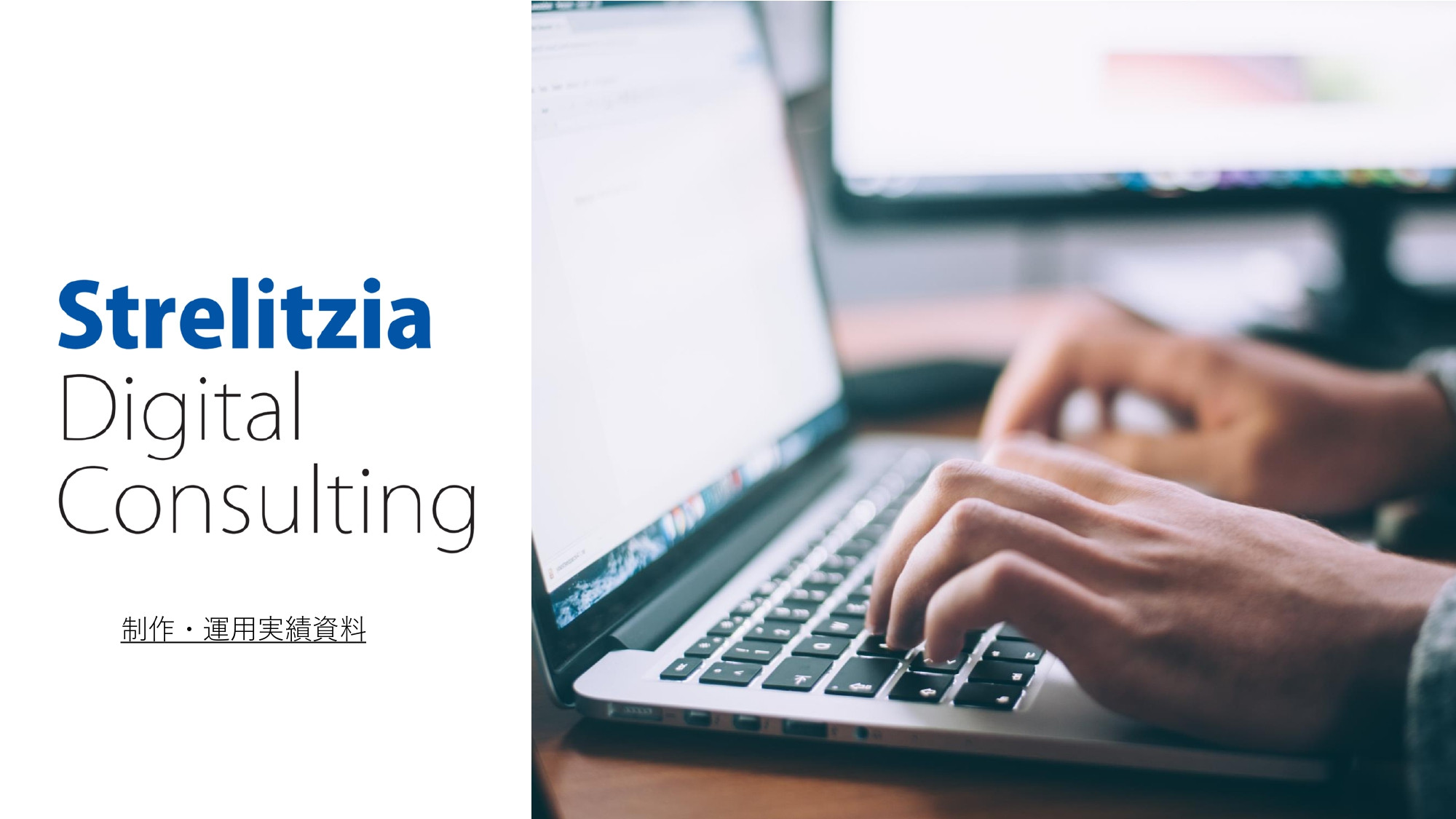 ストレリチアデジタルコンサルティング合同会社 - 制作実績資料 - {(0 + 1)}ページ目
