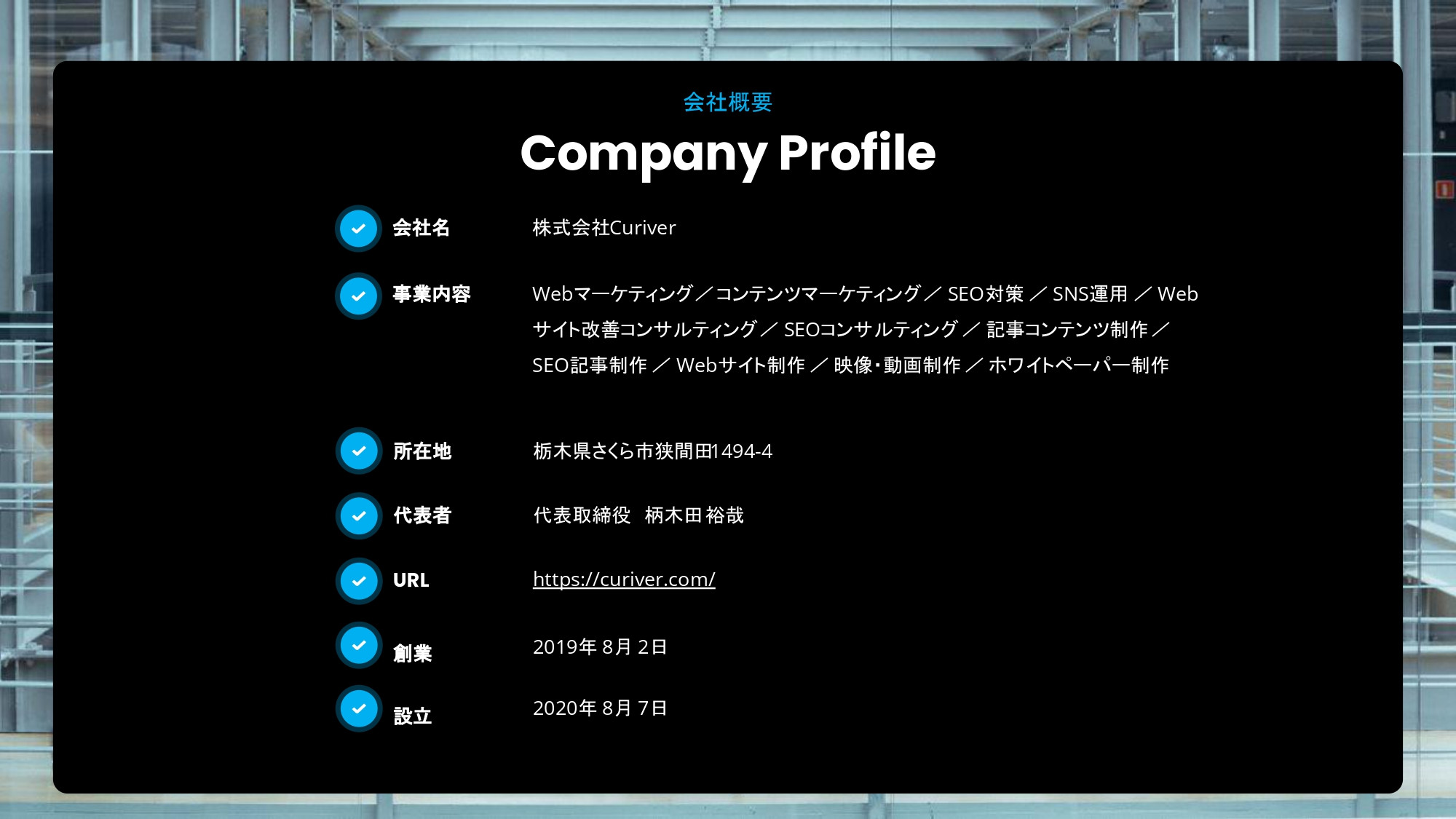 株式会社Curiver（キュリバー） - Webサイト制作代行サービス - {(14 + 1)}ページ目