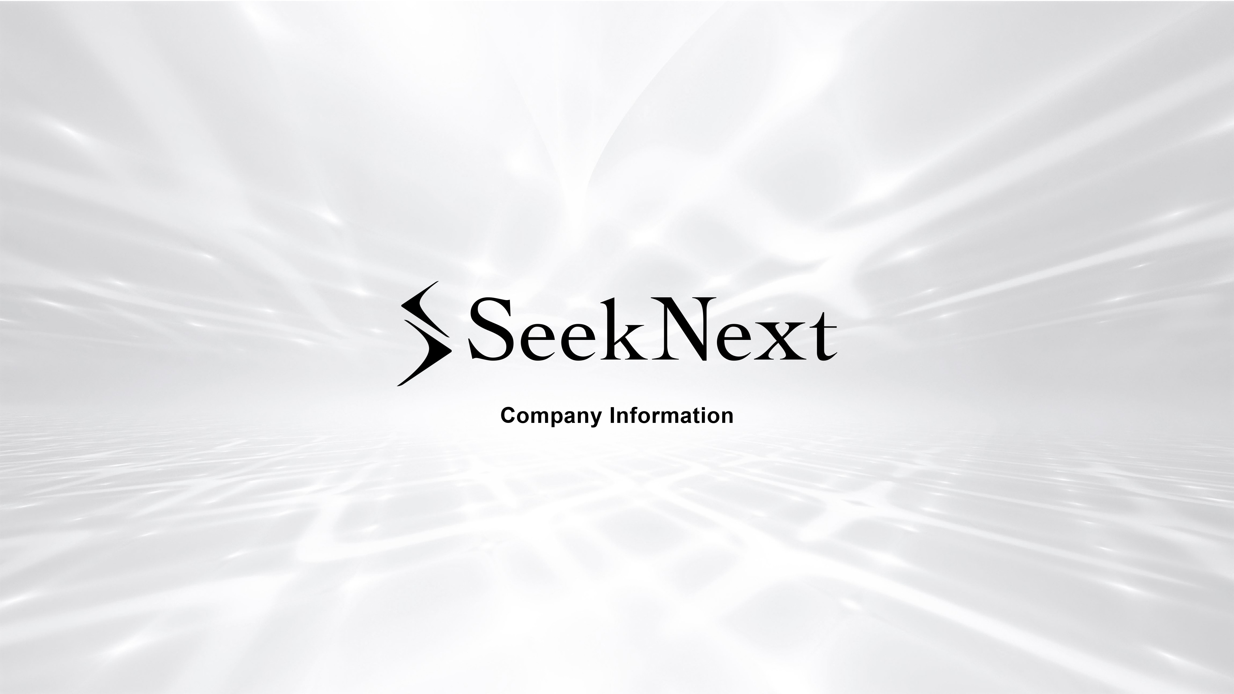 SeekNext合同会社 - 会社案内パンフレット - {(0 + 1)}ページ目