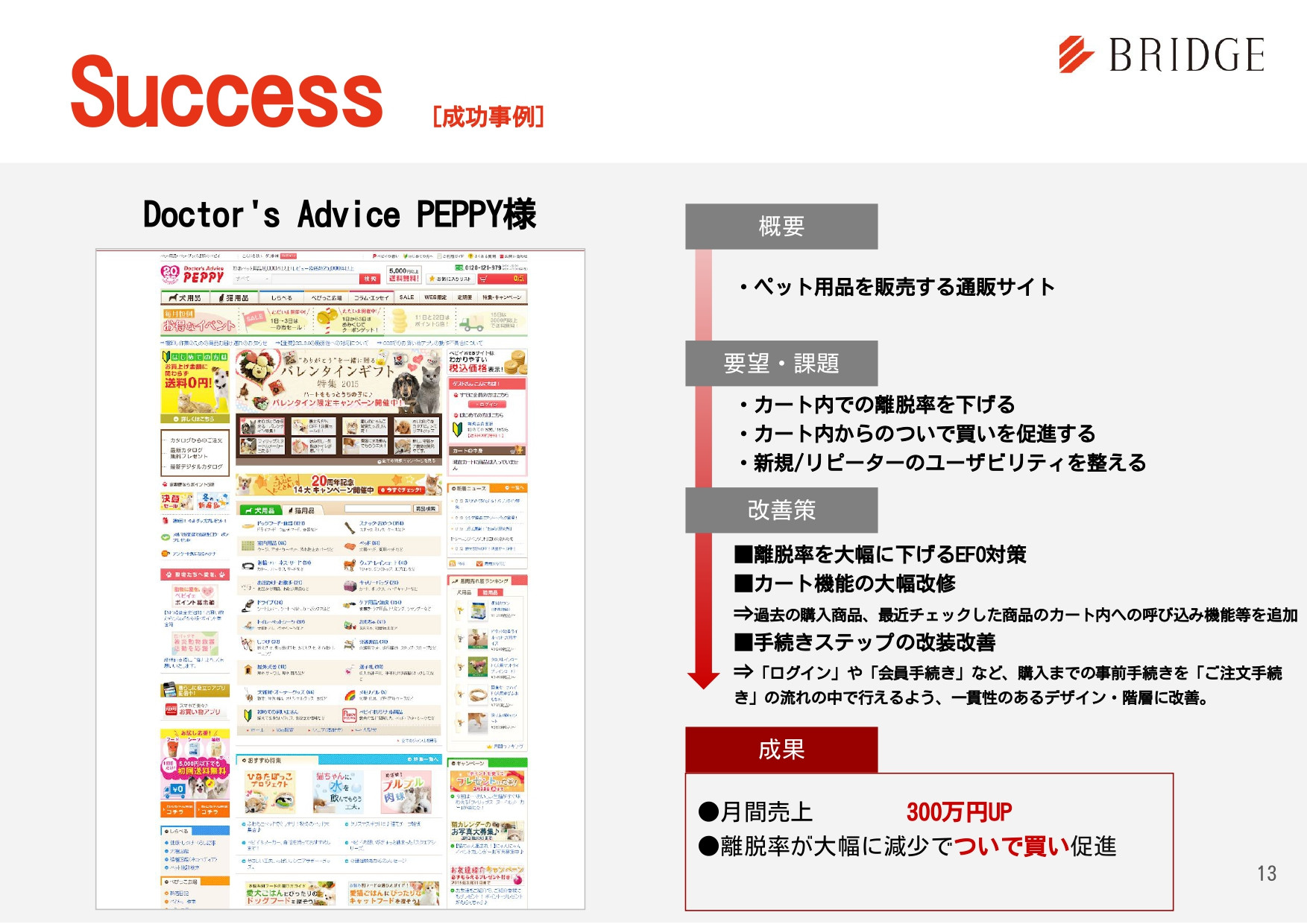 株式会社ブリッジコーポレーション - 実績紹介 - {(12 + 1)}ページ目