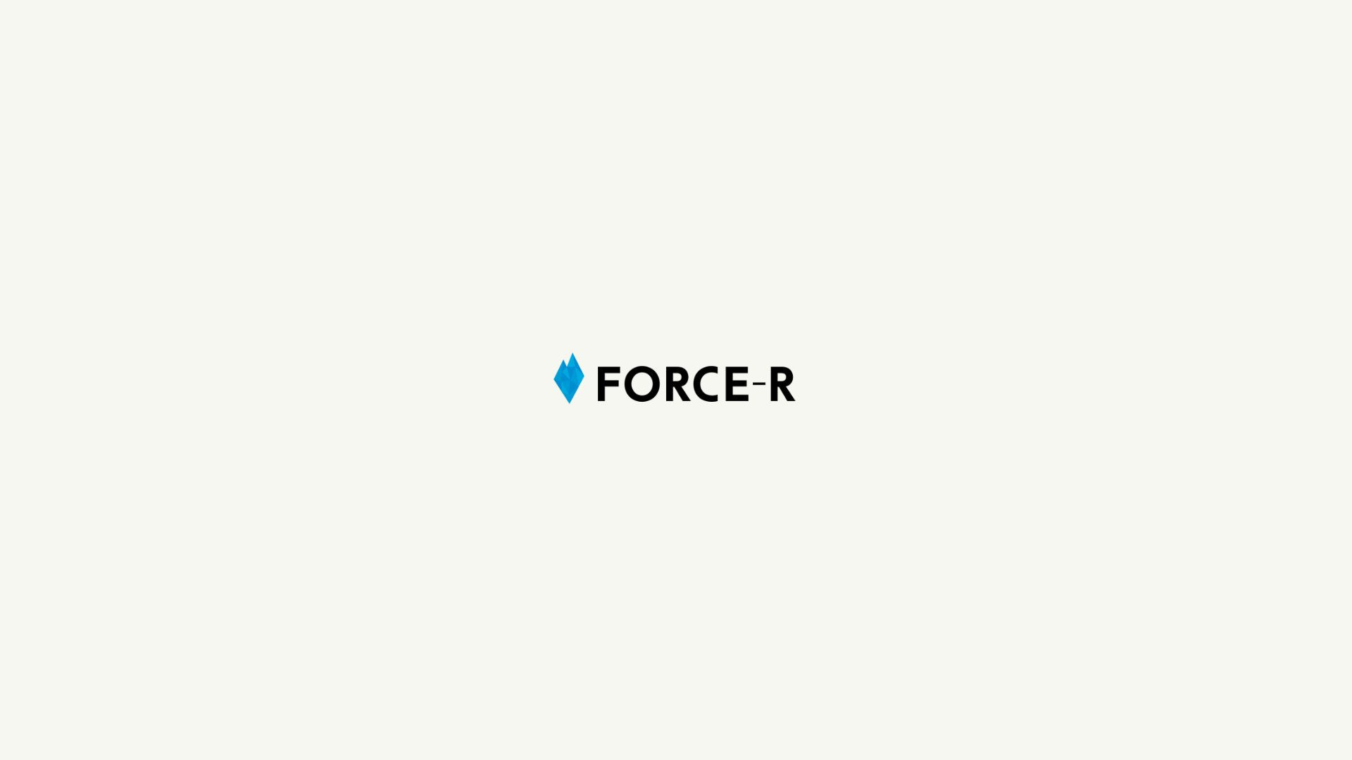 FORCE-R株式会社 - ECモールコンサルティング資料 - {(19 + 1)}ページ目