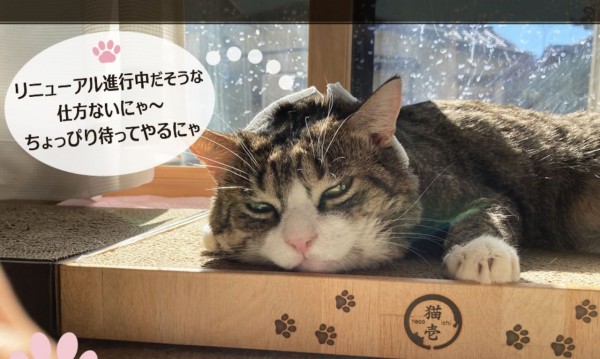 有限会社デザインクロス