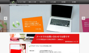 有限会社アイビーソリューション