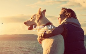 株式会社 Essentials