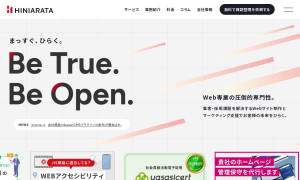 株式会社ヒニアラタ