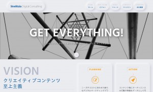 ストレリチアデジタルコンサルティング合同会社