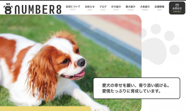 NUMBER8(ナンバーエイト)