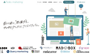 ピークスマーケティング株式会社
