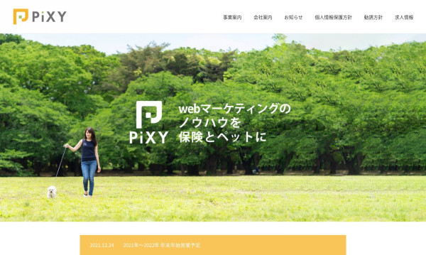 株式会社ピクシー