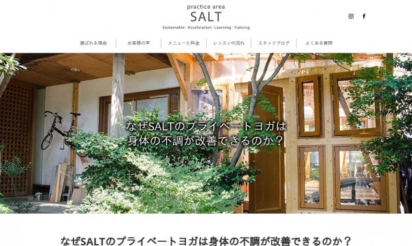 practice area SALT
