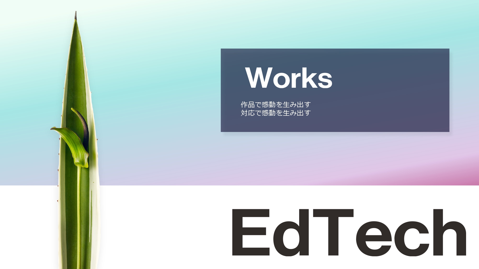 株式会社スパイスワークス - 株式会社スパイスワークス会社紹介 - {(19 + 1)}ページ目