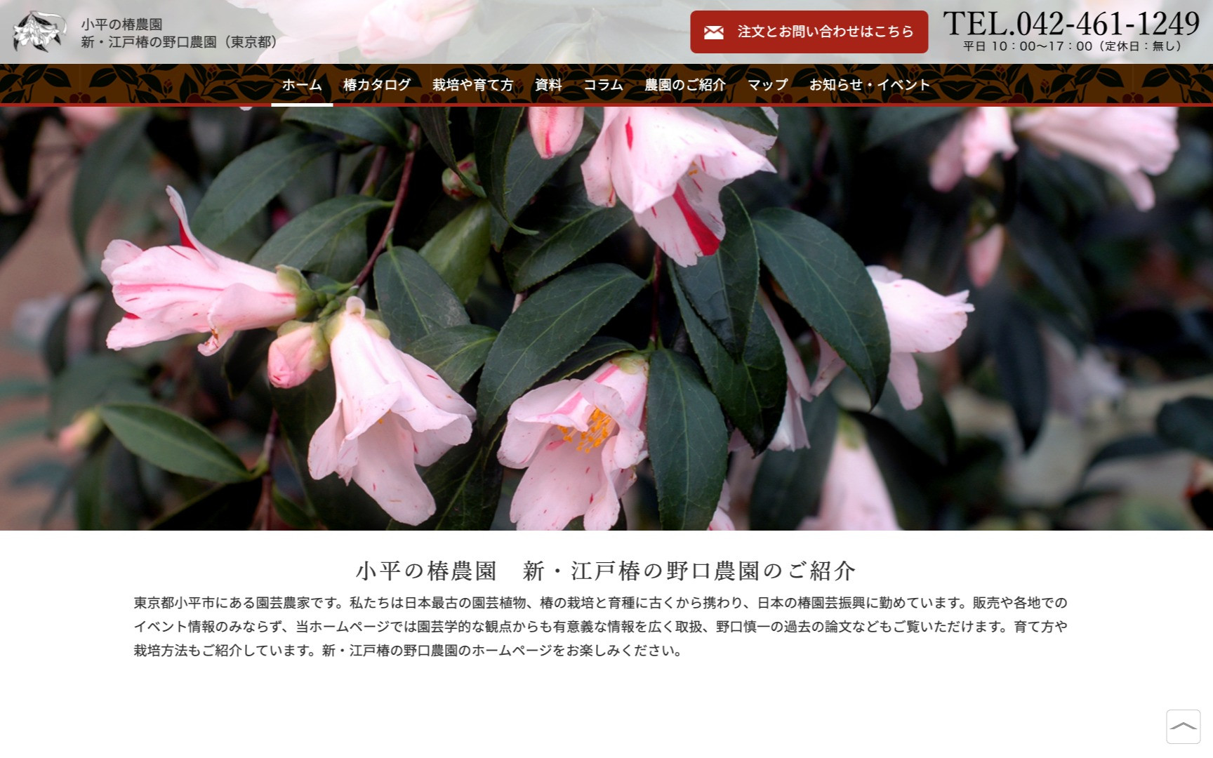 小平の椿農園 新 江戸椿の野口農園さま Web制作 ホームページ制作実績 Web幹事