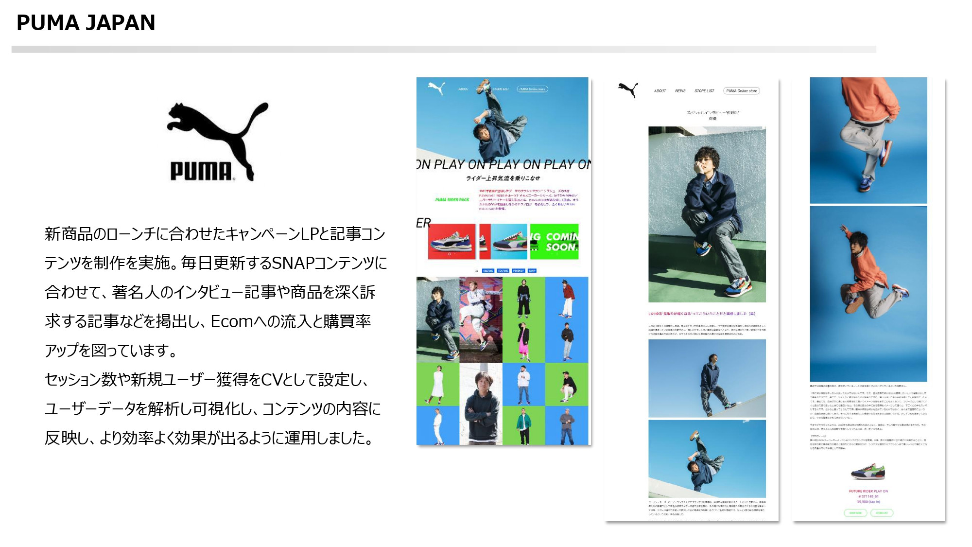 ストレリチアデジタルコンサルティング合同会社 - 制作実績資料 - {(10 + 1)}ページ目