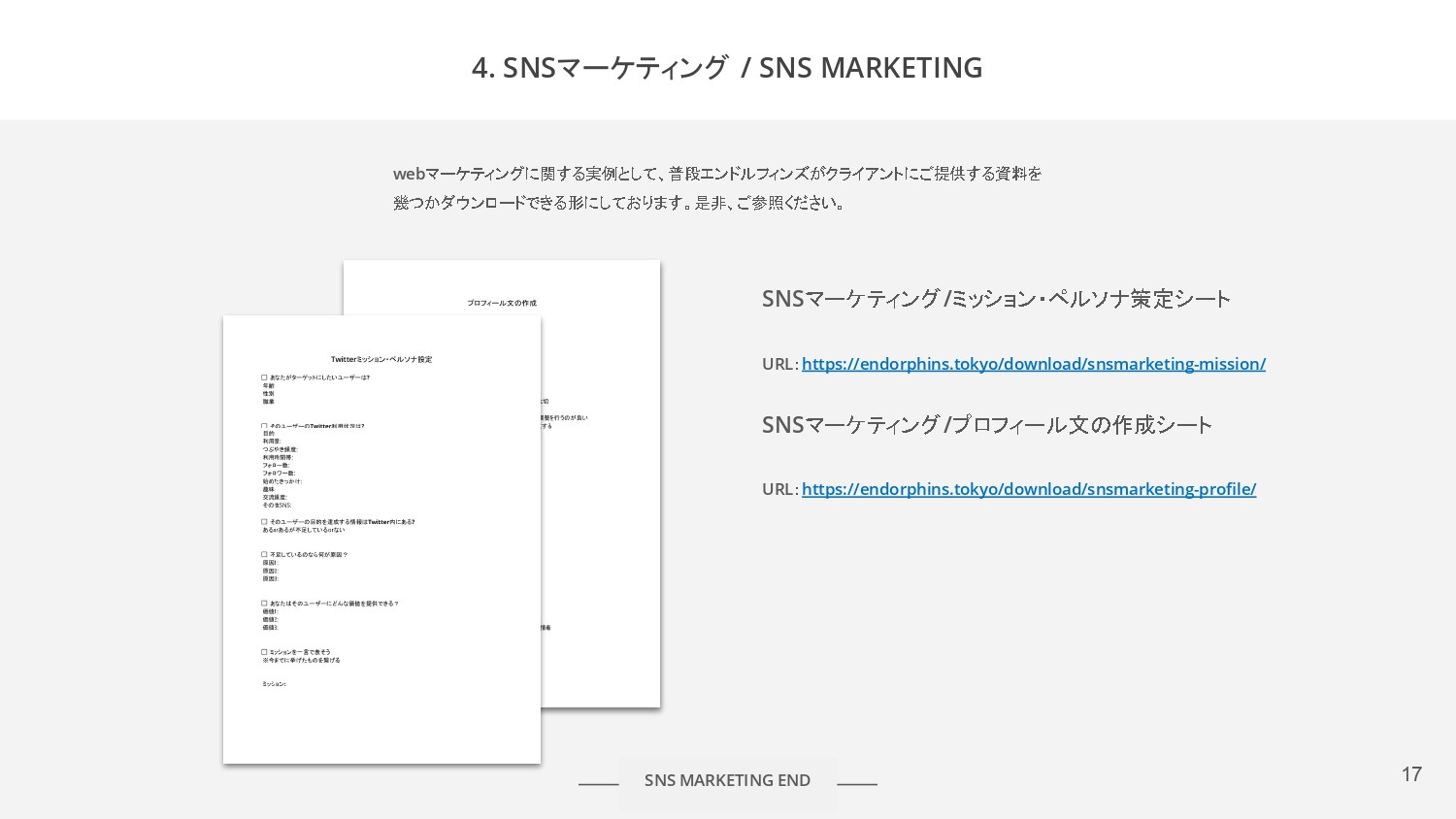 合同会社 エンドルフィンズ - 合同会社エンドルフィンズのご紹介 - {(16 + 1)}ページ目