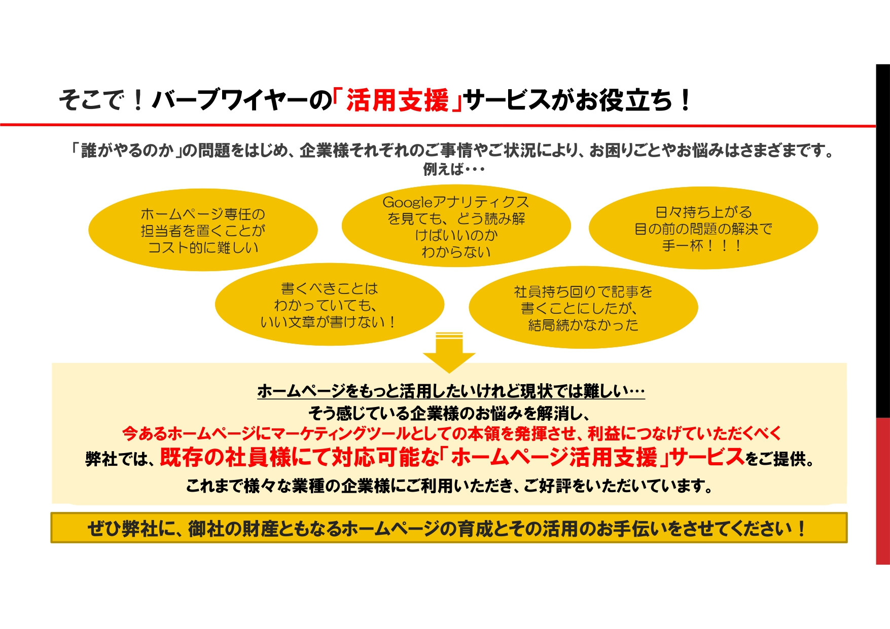 株式会社バーブワイヤー - ホームページで事業を何とかしたい「任せてガッチリホームページ活用プラン」 - {(12 + 1)}ページ目