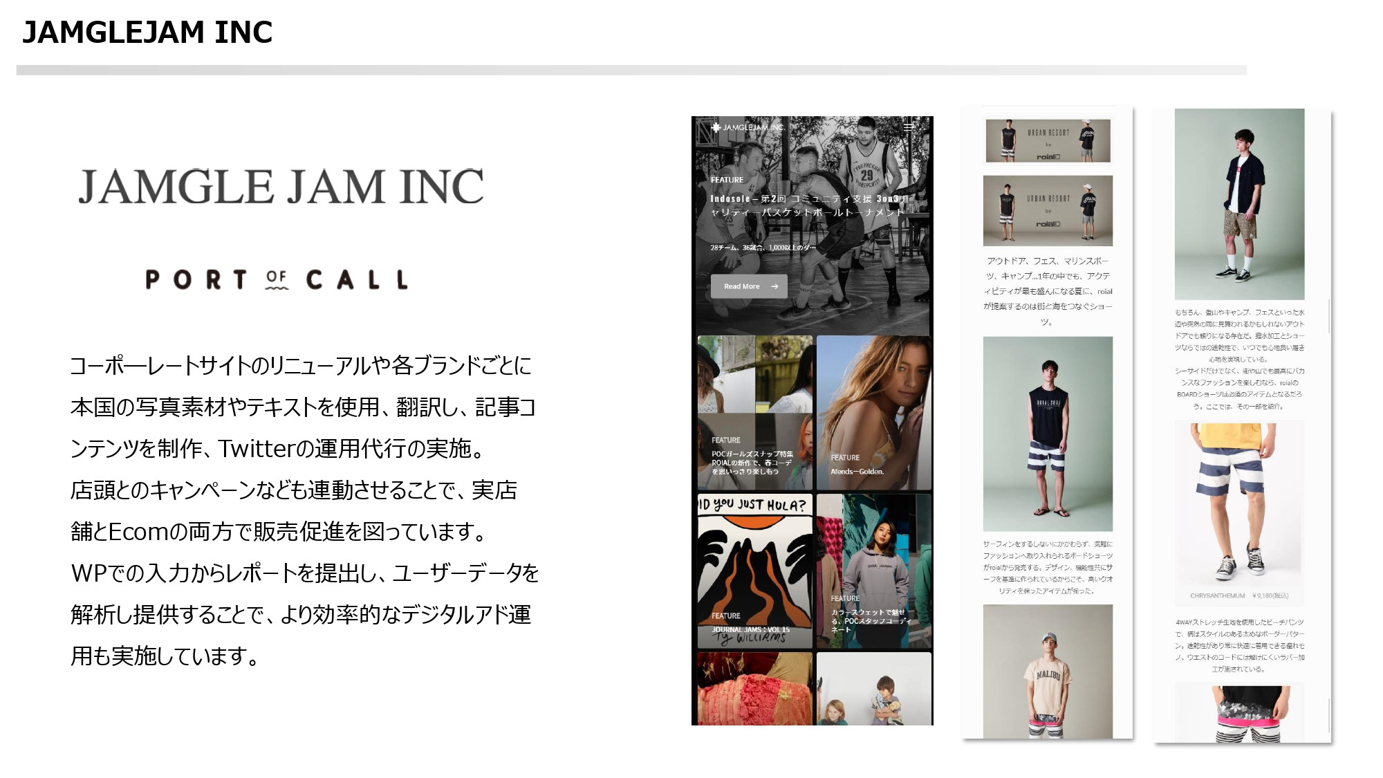 ストレリチアデジタルコンサルティング合同会社 - 制作実績資料 - {(13 + 1)}ページ目