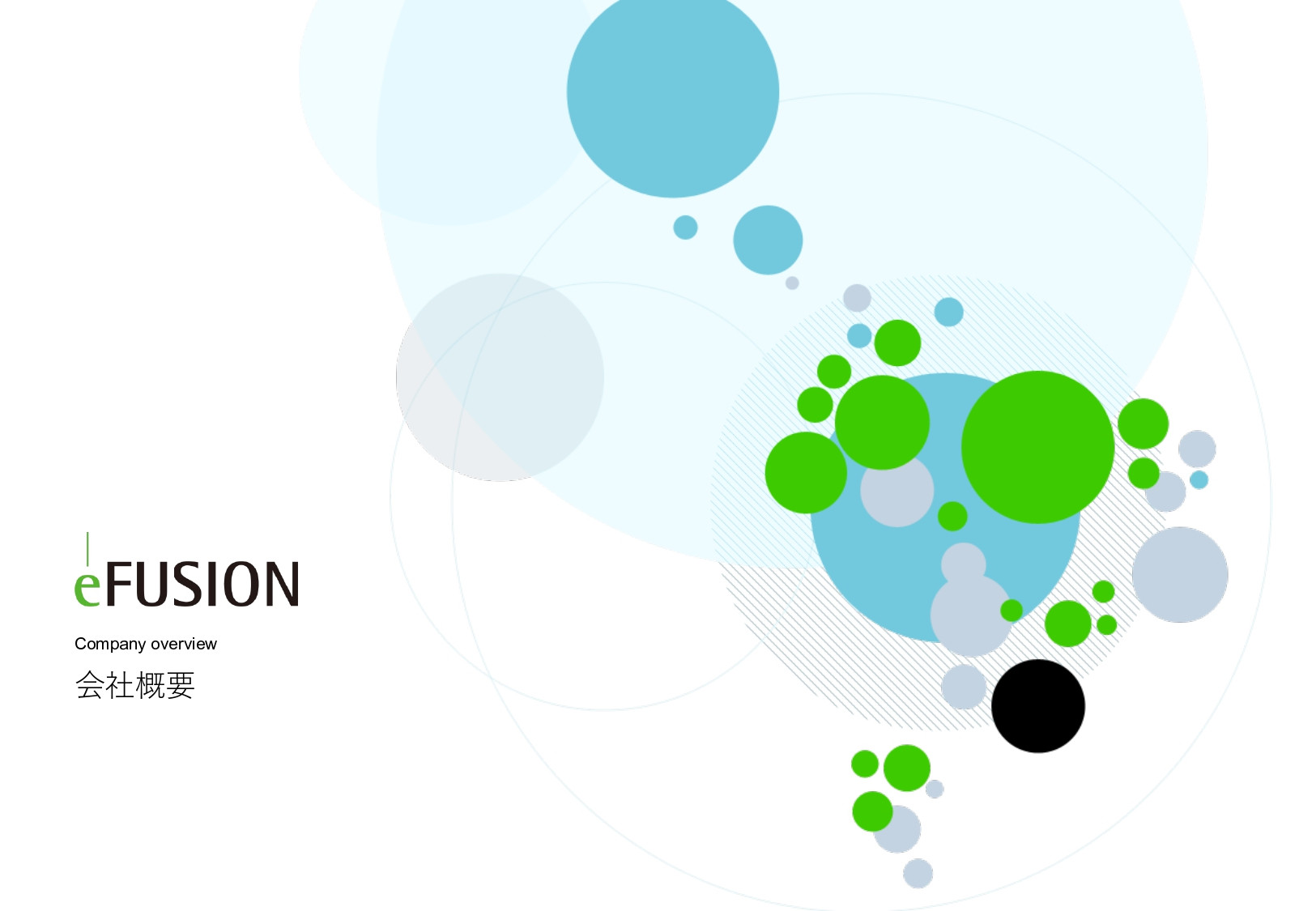 株式会社イー・フュージョン - 実績資料 - {(0 + 1)}ページ目
