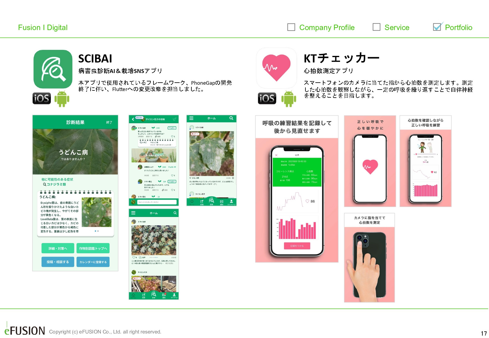 株式会社イー・フュージョン - 実績資料 - {(16 + 1)}ページ目