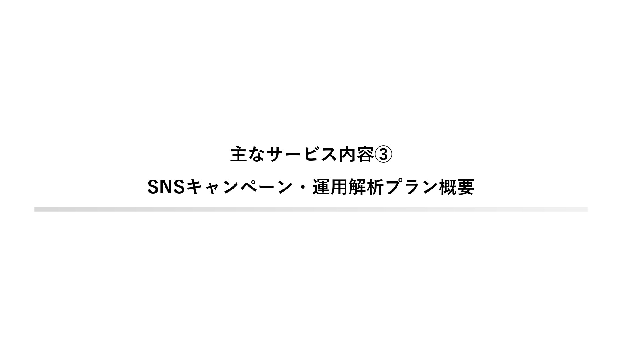 ストレリチアデジタルコンサルティング合同会社 - 制作実績資料 - {(18 + 1)}ページ目