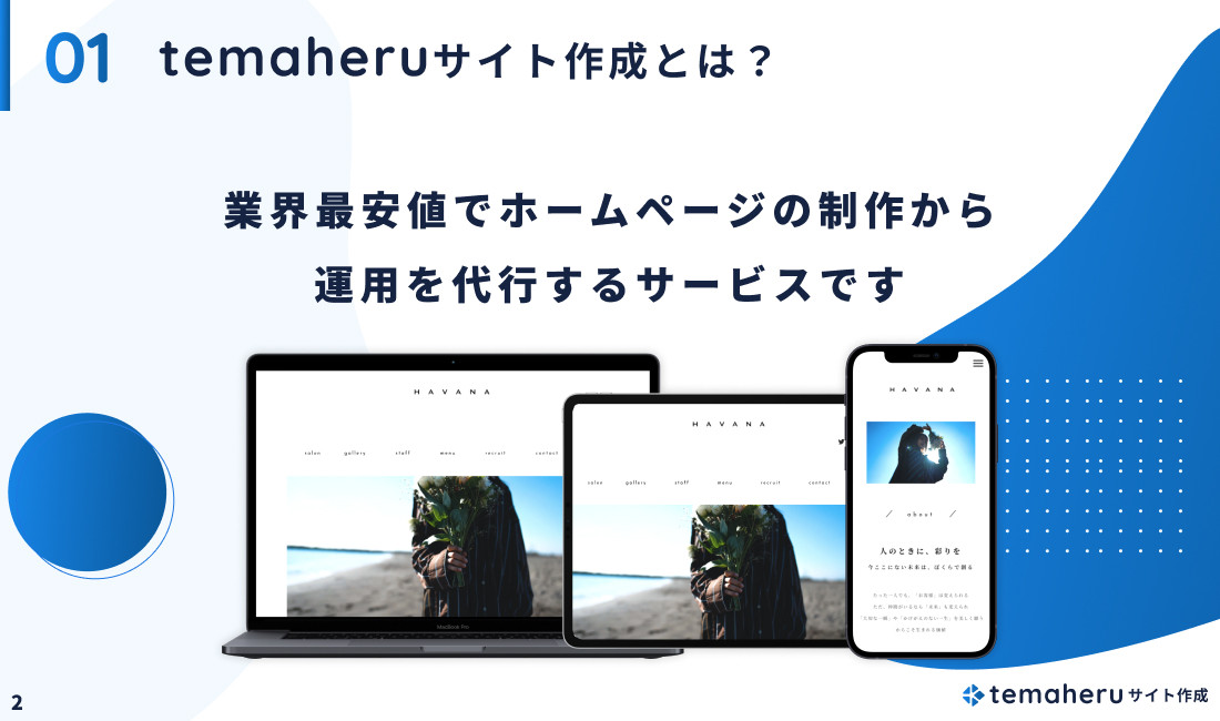 Alley株式会社 - temaheru サイト作成 サービス概要資料 - {(2 + 1)}ページ目